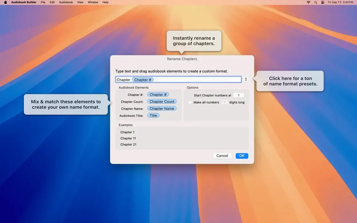 Audiobook Builder — frame 5 Audiobook Builder tools, view 5