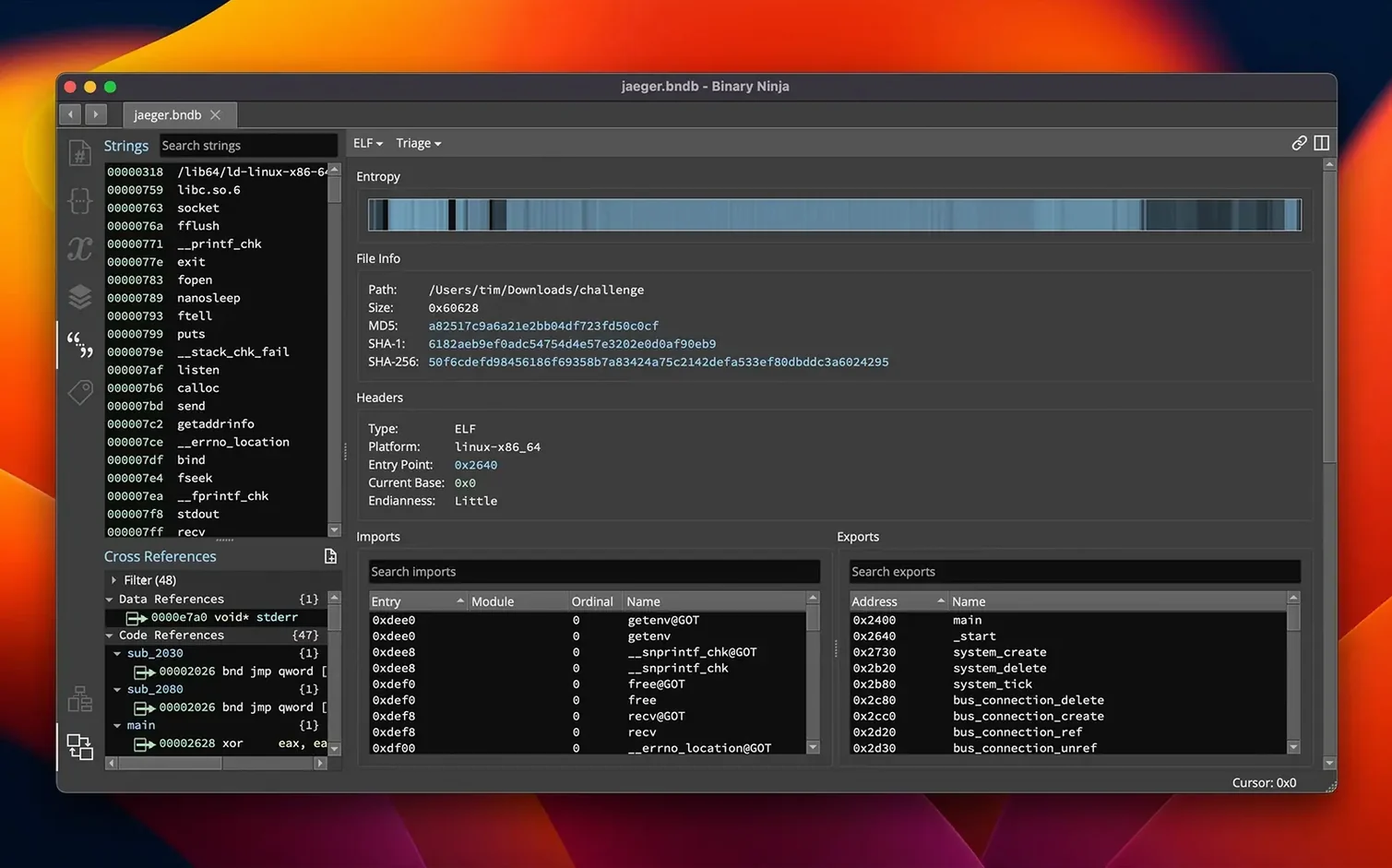 Binary Ninja tools, view 4
