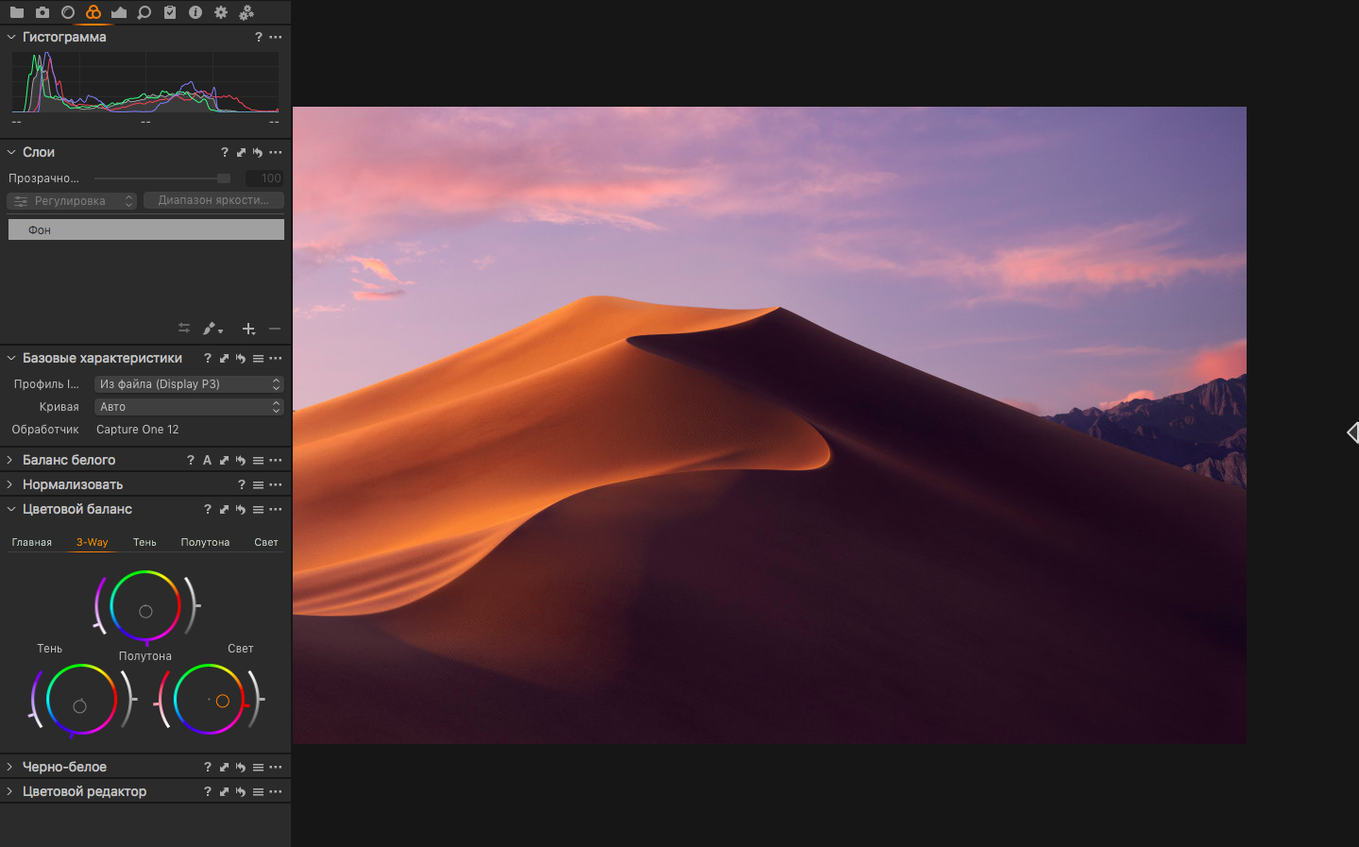 Capture One — frame 2 Capture One tools, view 2