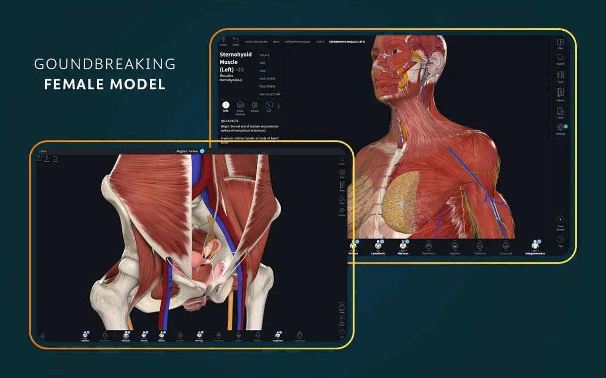 Complete Anatomy — frame 1 complete anatomy mac download — main panel