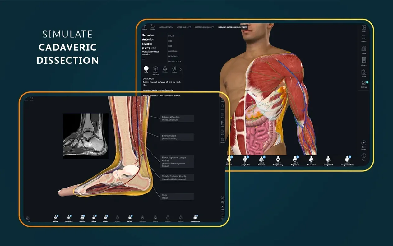 Complete Anatomy — frame 2 Complete Anatomy tools, view 2
