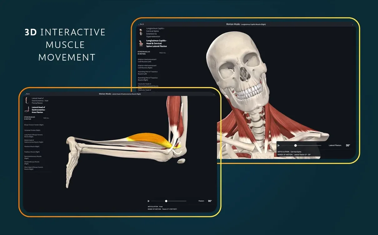 Complete Anatomy — frame 3 Complete Anatomy tools, view 3