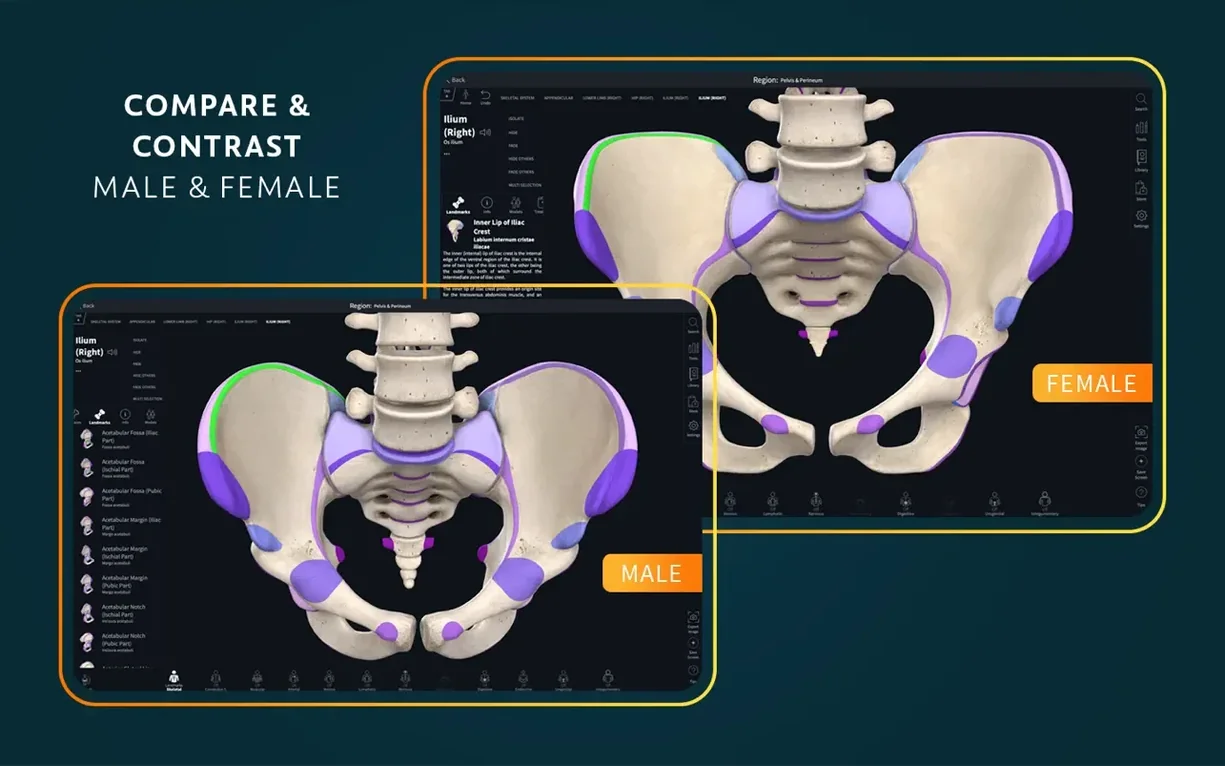 Complete Anatomy — frame 4 Complete Anatomy tools, view 4