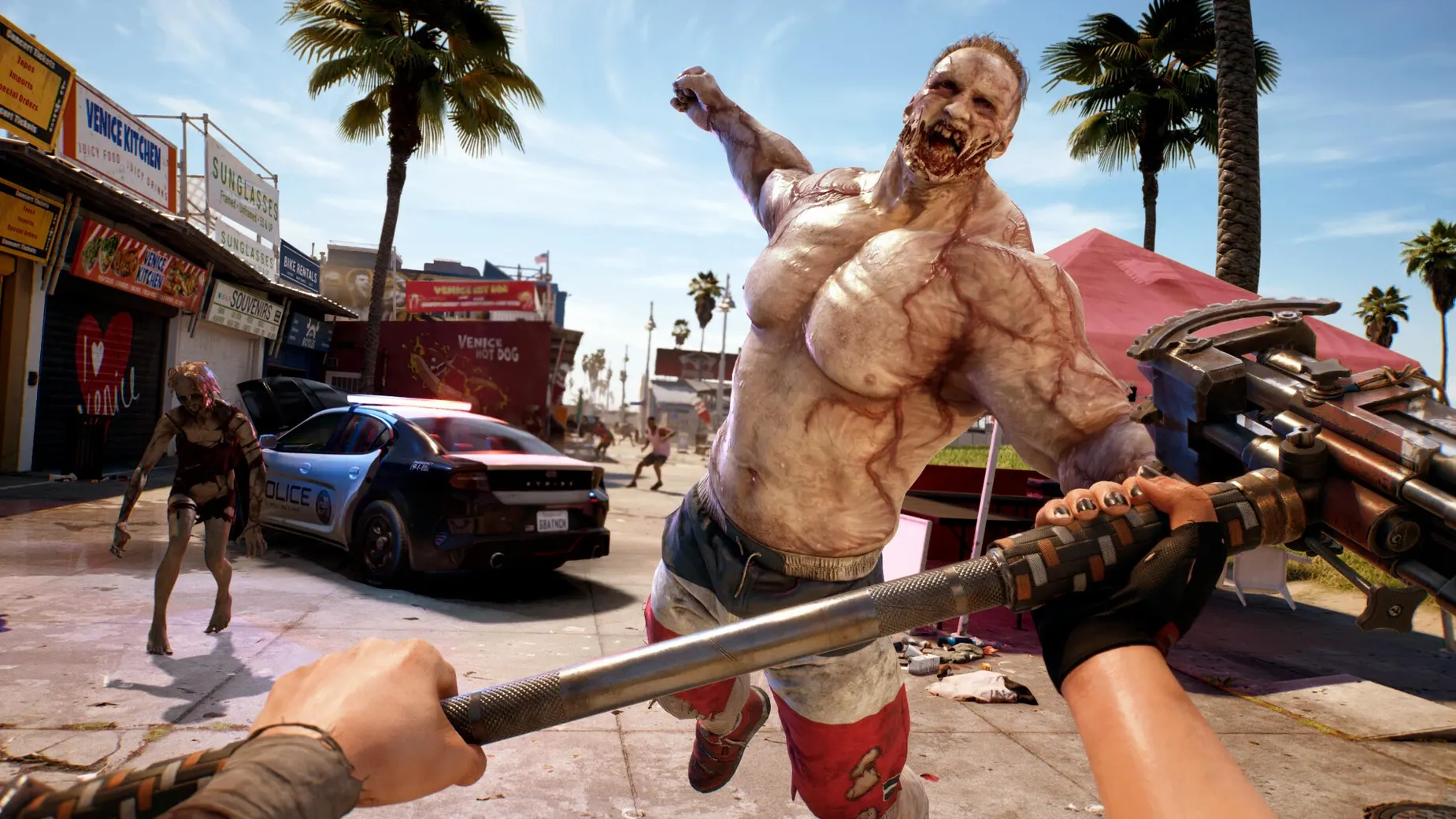 Dead Island: slide 8 of 8 Dead Island example 8