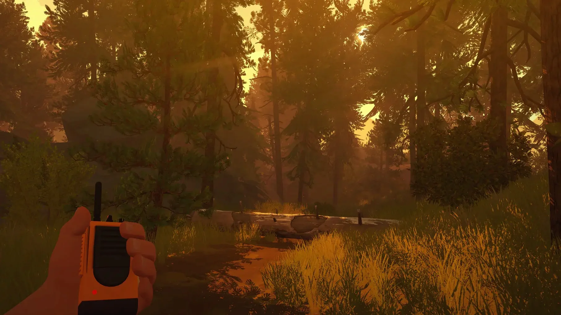 Firewatch — frame 2 Firewatch tools, view 2
