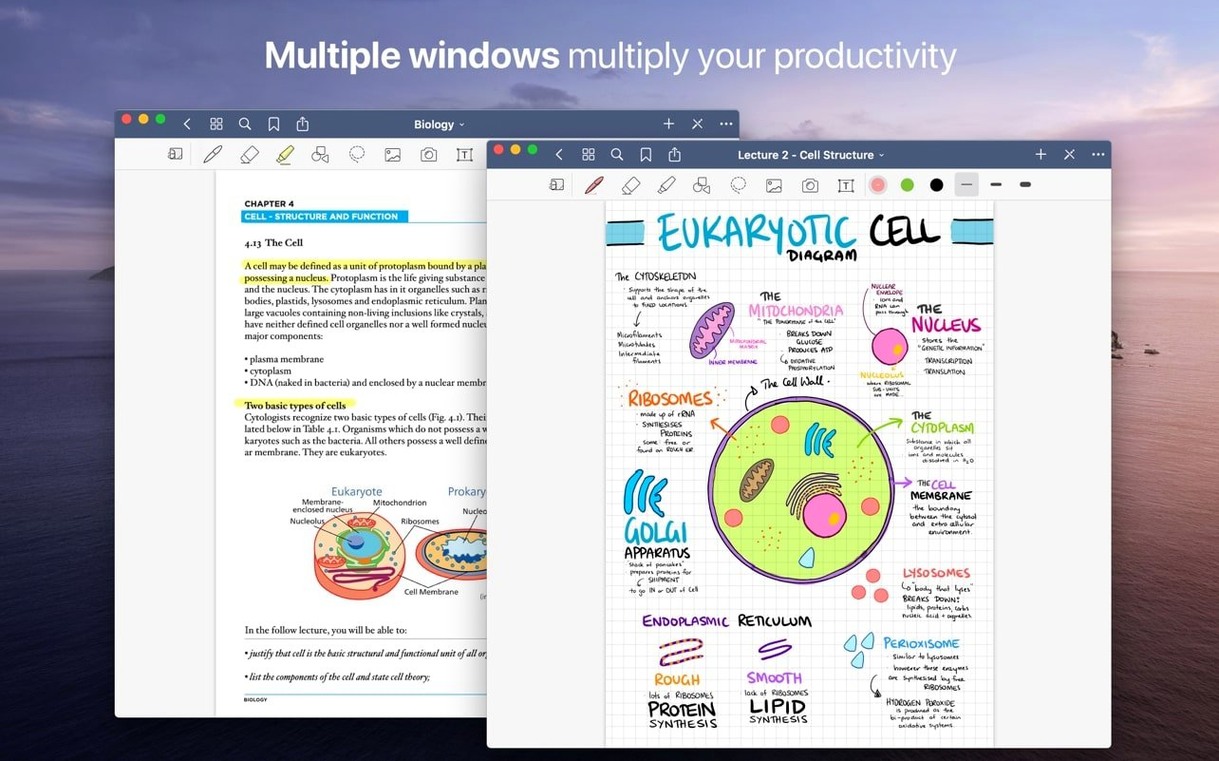 GoodNotes: slide 3 of 4 GoodNotes example 3