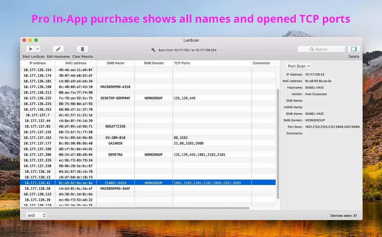 LanScan example 2