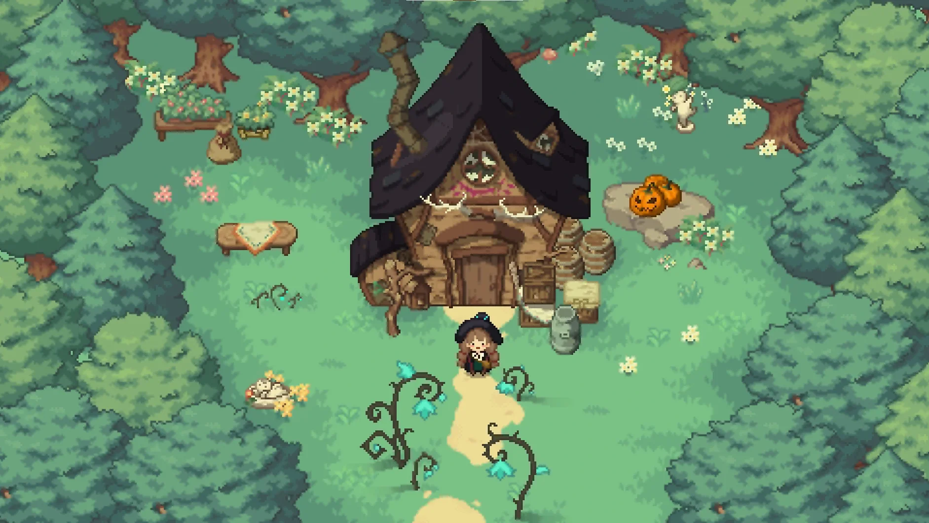 Little Witch in the Woods — frame 1 little witch in the woods macos free on a Mac