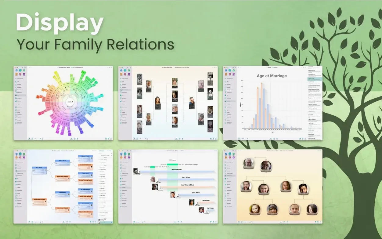 MacFamilyTree tools, view 3