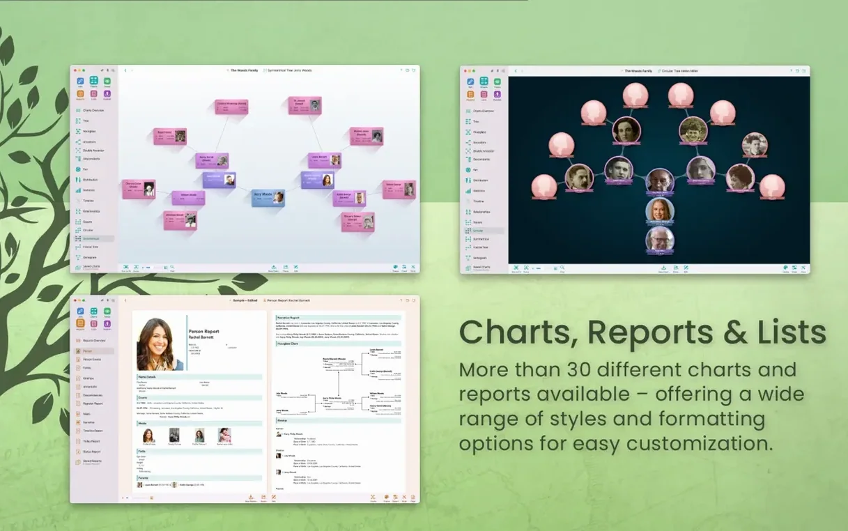 MacFamilyTree tools, view 4