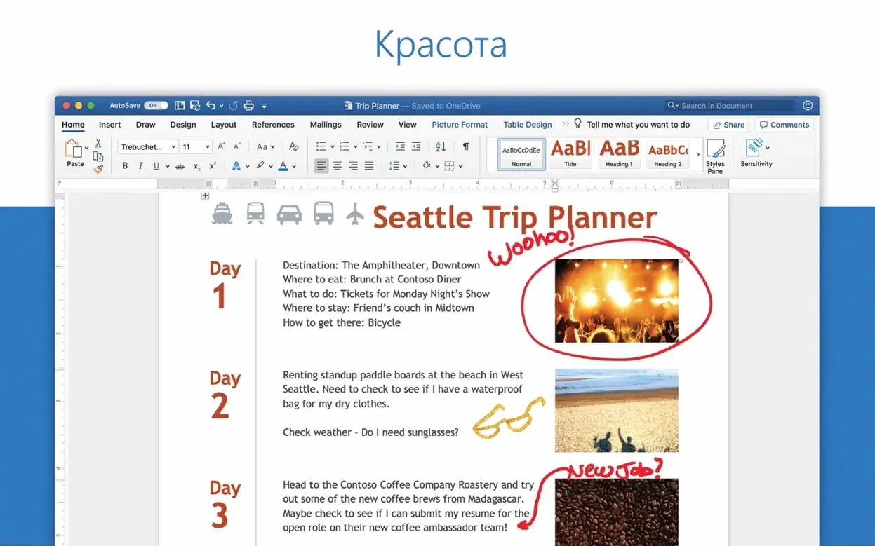Microsoft Excel — frame 1 excel download torrent on a Mac