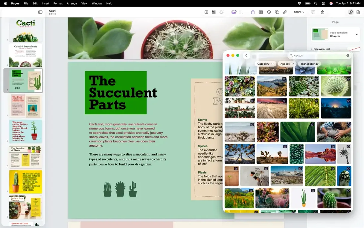 Pages Creator Studio: slide 4 of 8 Pages Creator Studio example 4
