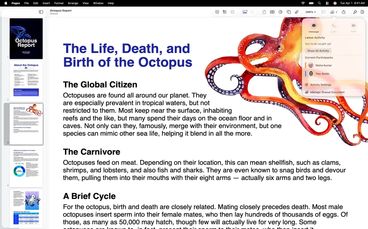 Pages Creator Studio — frame 6 Pages Creator Studio tools, view 6