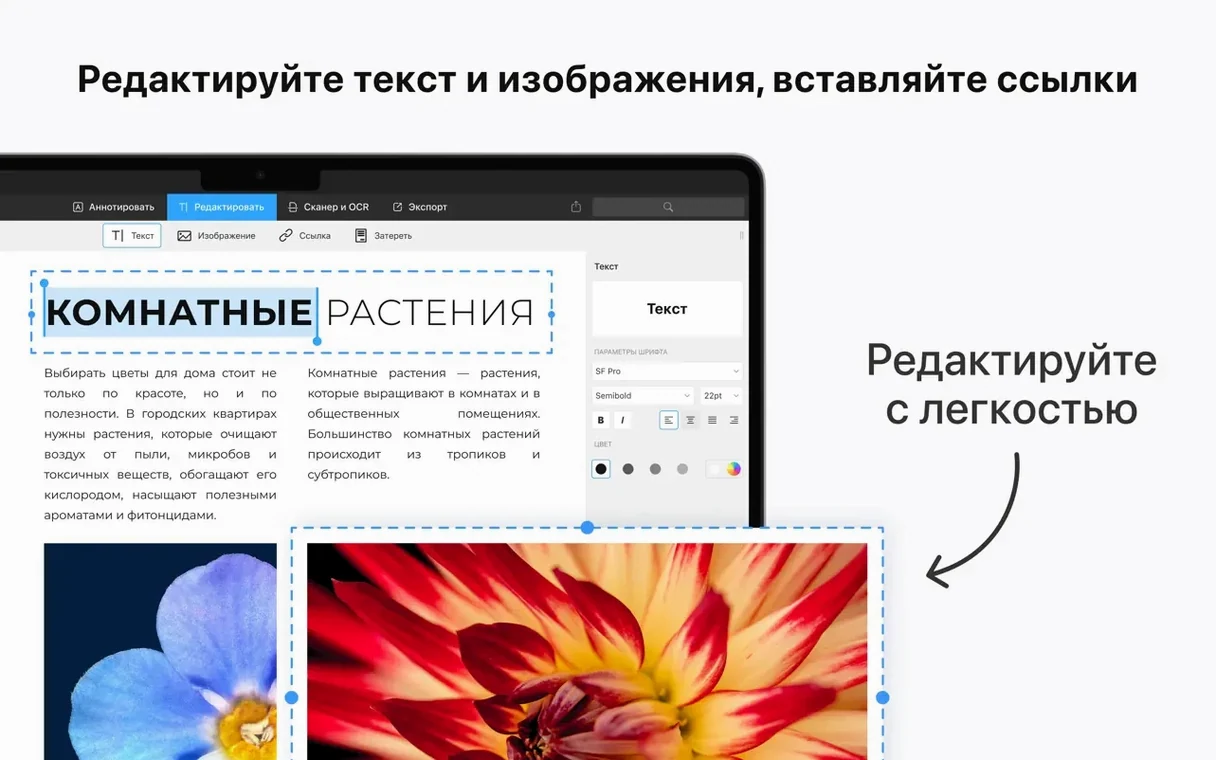 PDF Expert — frame 3 PDF Expert tools, view 3