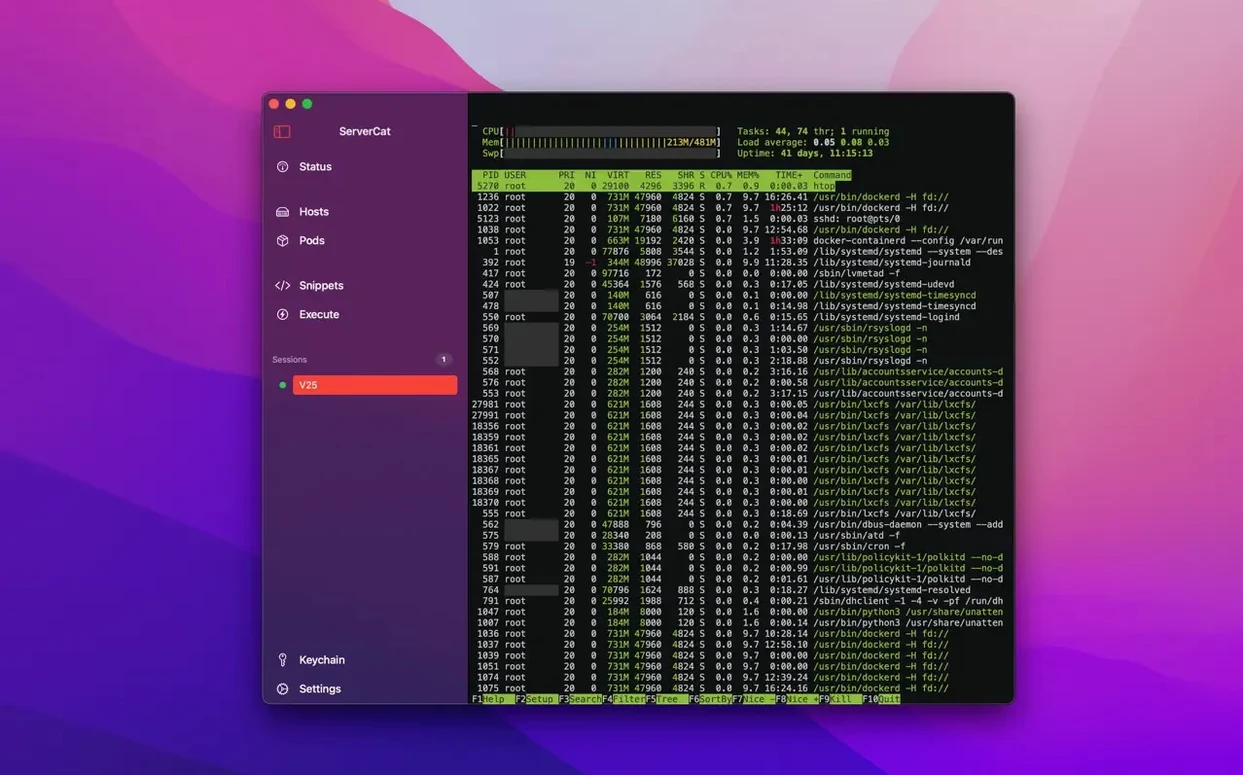 ServerCat - SSH Terminal example 3