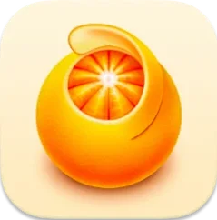 Squash round icon