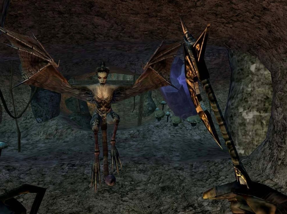 The Elder Scrolls III: Morrowind — frame 2 The Elder Scrolls III: Morrowind tools, view 2