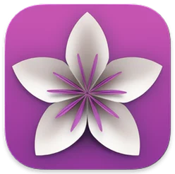 Vellum round icon