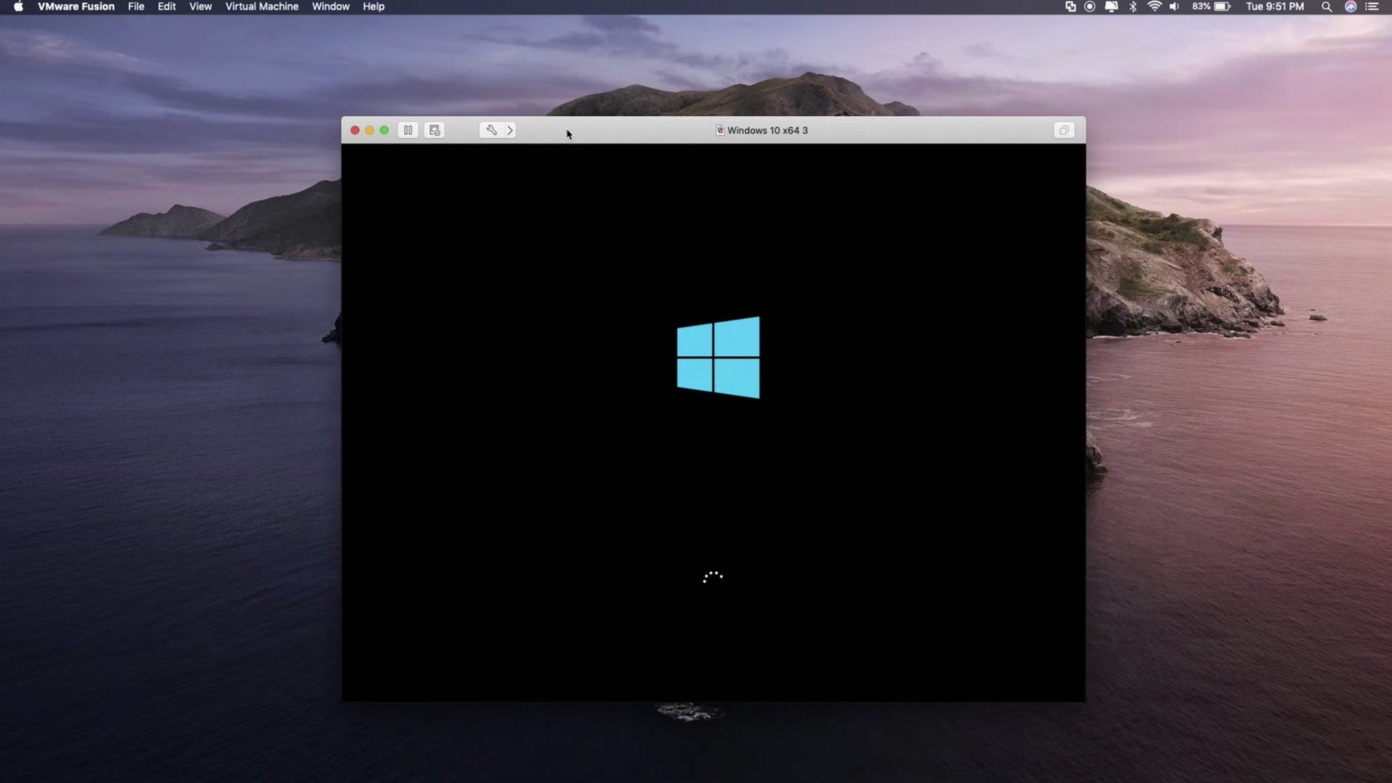 VMware Fusion Pro — frame 1 vmware fusion download — main panel