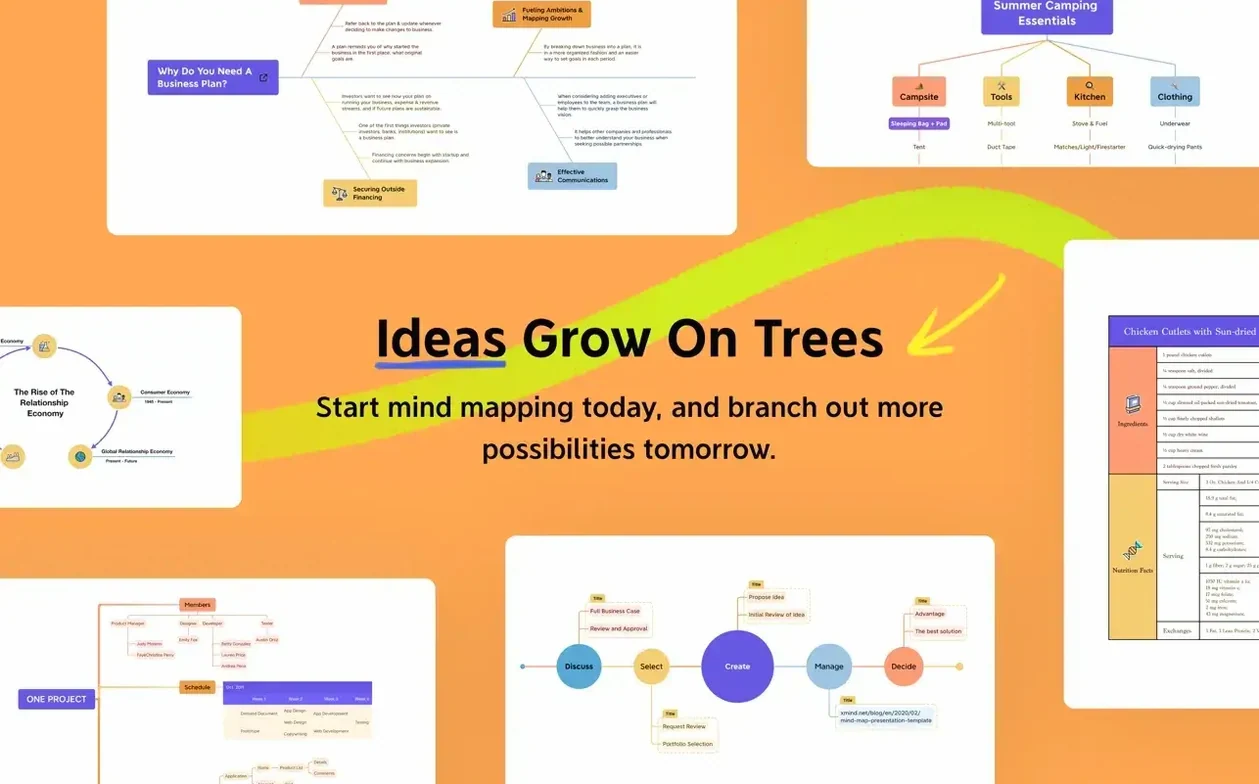 XMind Pro: slide 7 of 7 XMind Pro example 7